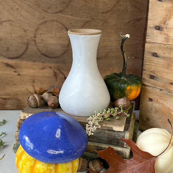 Bud Vase with Mushroom Topper (FA84)
